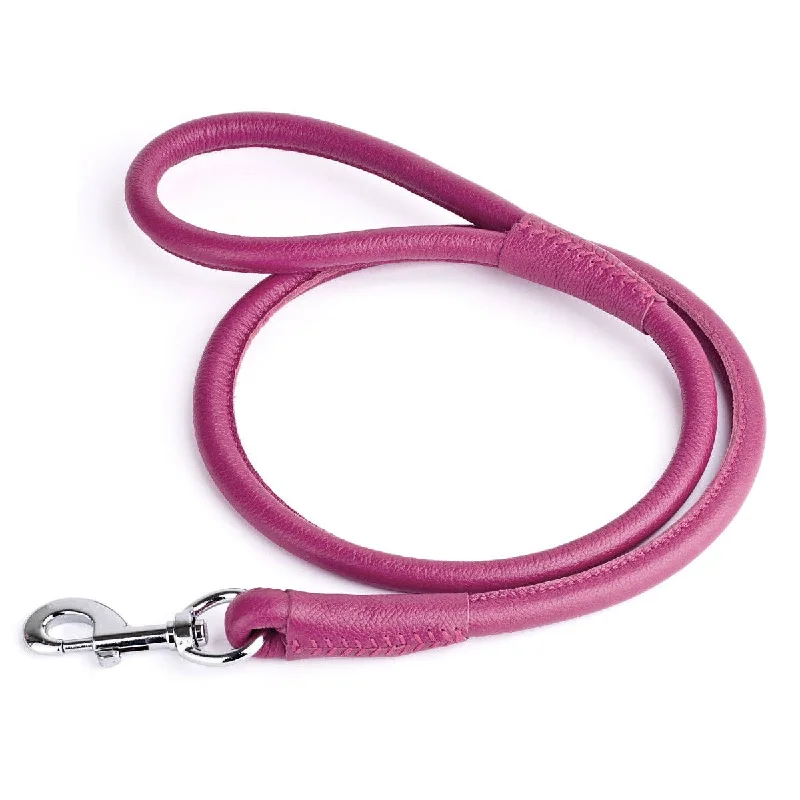 Soft Leather Dog Leash