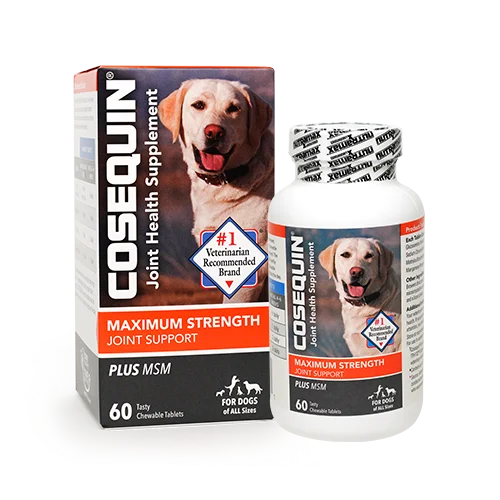 COSEQUIN® Maximum Strength Plus MSM Chewable Tablets