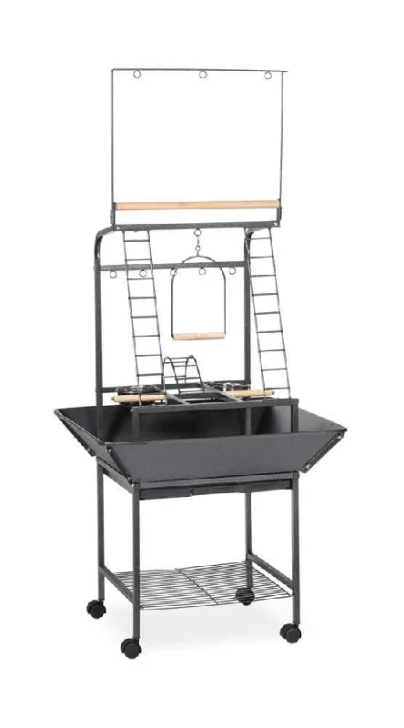 Prevue Pet Playstand