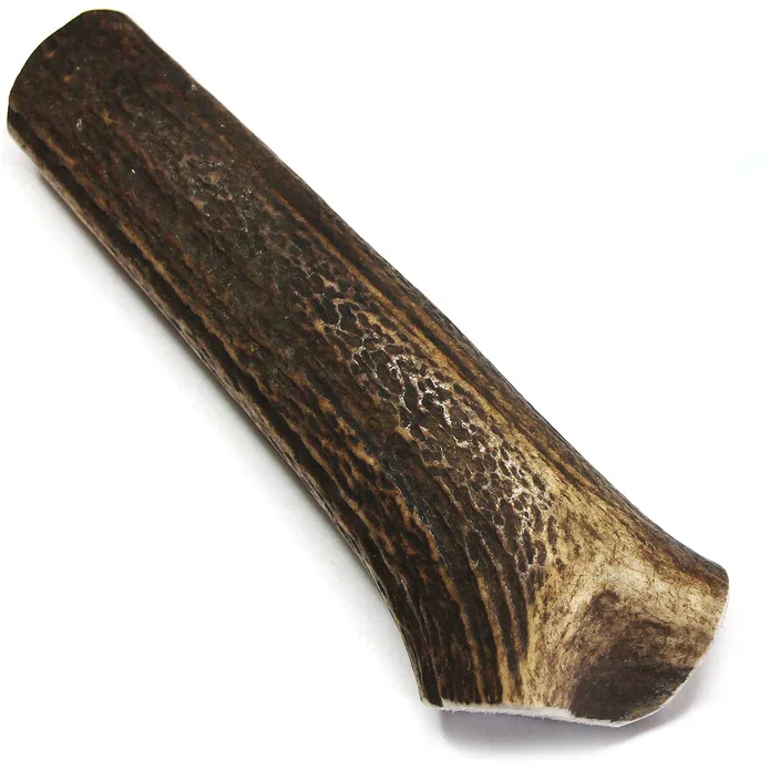 Tuesday's Natural Dog Company Royal Brown Deer Whole Antler - Medium