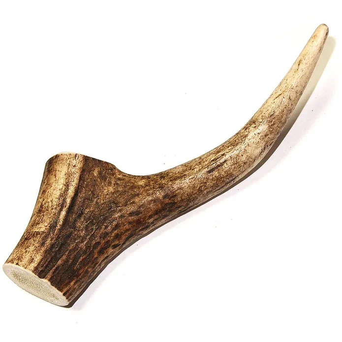 Tuesday's Natural Dog Company Royal Brown Deer Whole Antler - Small